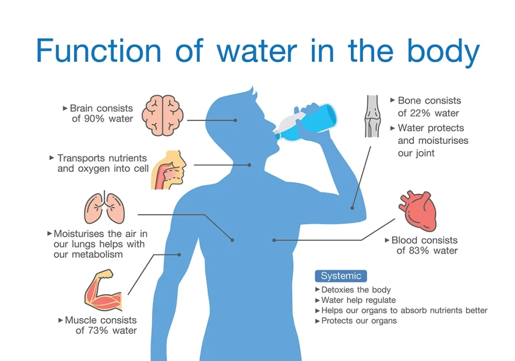 Picture chart of the function of water in the body.