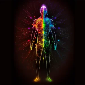 Complete Health and Wellness Overhaul