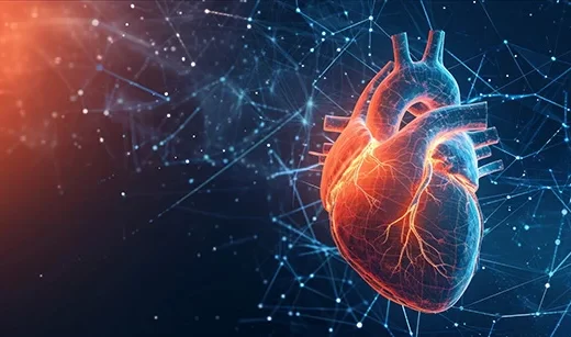 Picture of human heart inflamed with red light